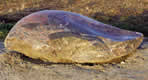 Kleine Welle - Granitfindling - 2001